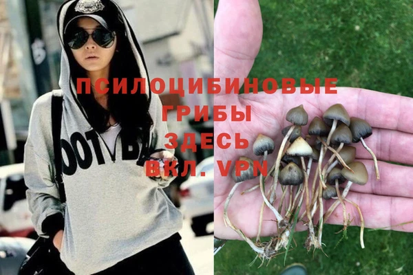 мдма Бородино